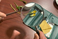 IMG_9050 IMG_9050